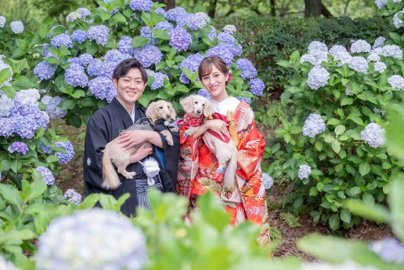 紫陽花とわんちゃんと．．．♡