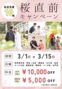 桜直前キャンペーン!!