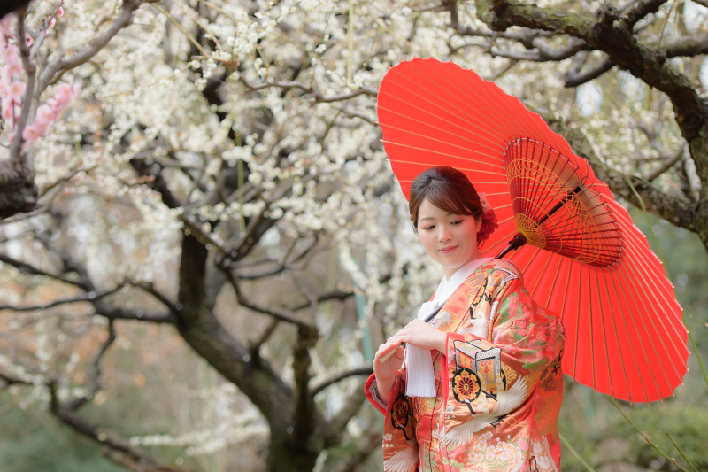 梅の花が咲き始めました♪