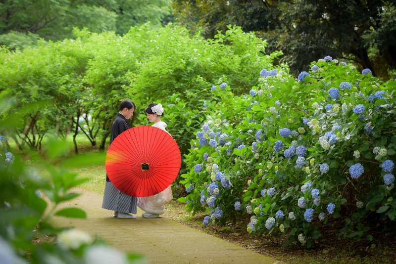 ❁紫陽花なら大宮第二公園❁