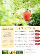 先着15組様限定のキャンペーンやってます!!