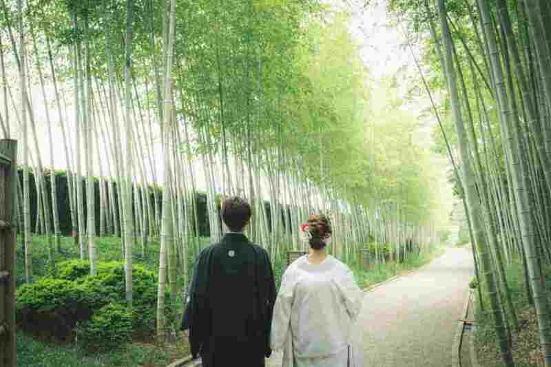 新緑に囲まれての花田苑での撮影