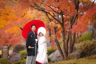 紅葉の時期の空き状況