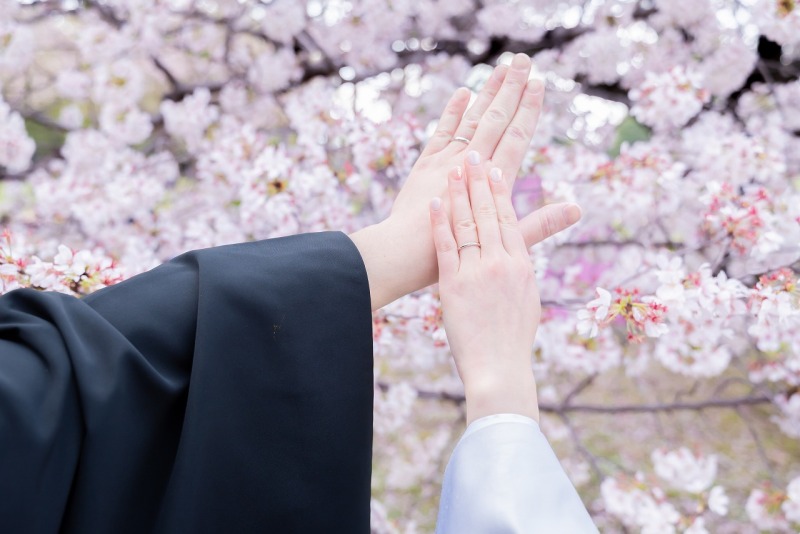 市民の森で桜と撮影