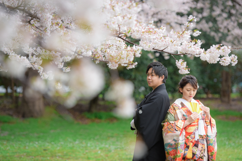 桜