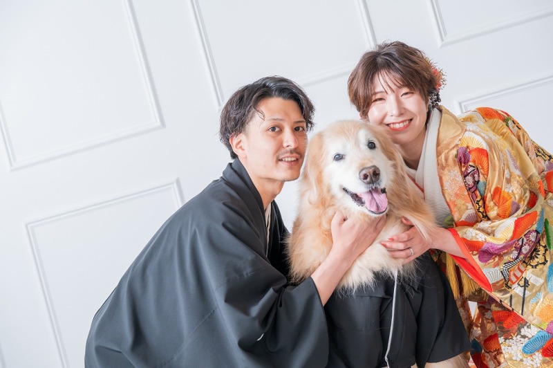 ゴールデンレトリバーとの撮影紹介♪