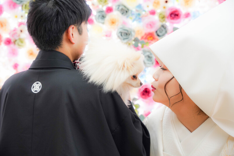 ワンちゃん撮影可能なスタジオエリアが増えましたυ´• ﻌ •`υ