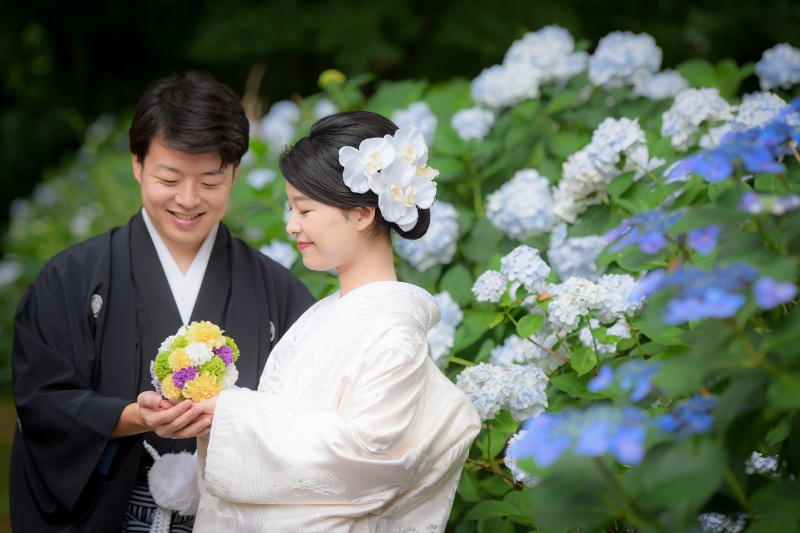 新緑・紫陽花シーズン