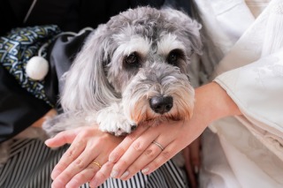 犬撮影のデータ集♡