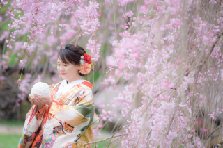 【桜シーズン】最新の空き状況❀