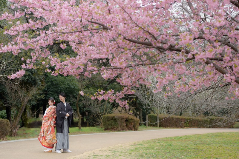 梅の花が咲き始めました♪