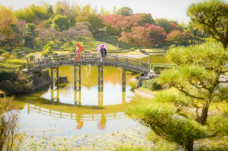 紅葉が色づいてきました♥