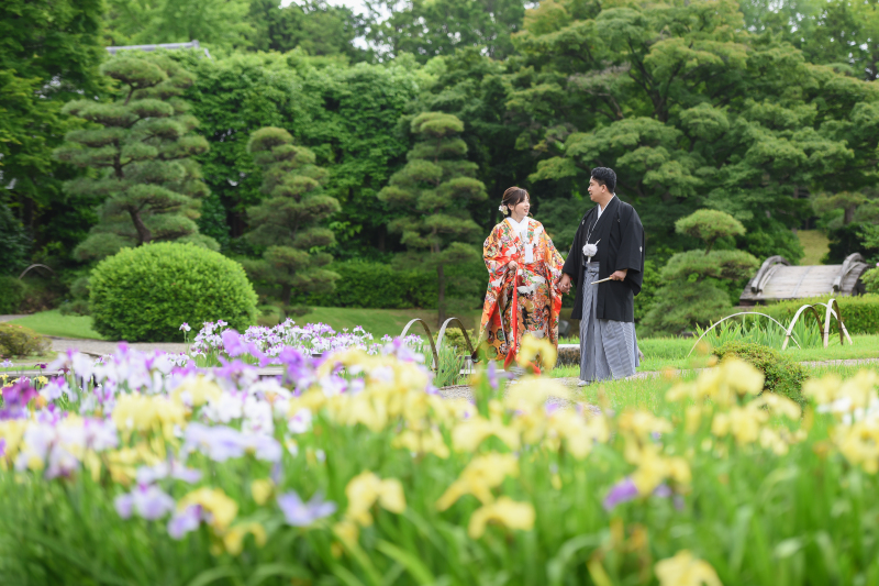 花田苑・菖蒲