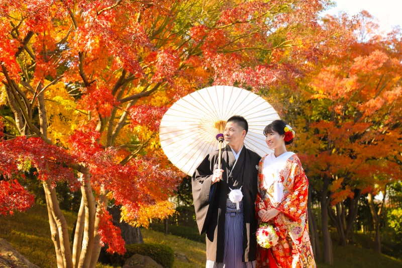 11月下旬の空き状況♥+゜
