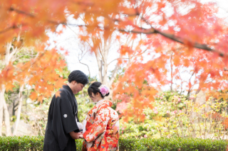紅葉の時期について