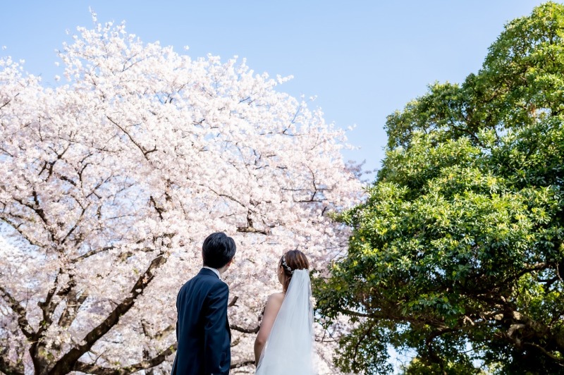 市民の森で桜と撮影