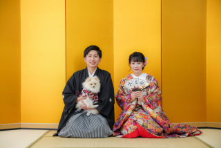 ワンちゃん撮影可能なスタジオエリアが増えましたυ´• ﻌ •`υ