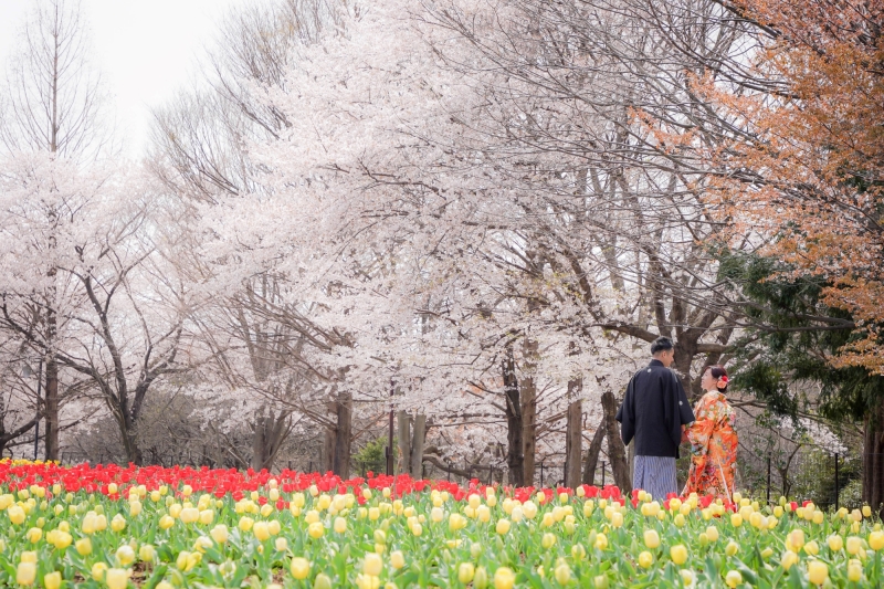 花の丘桜！