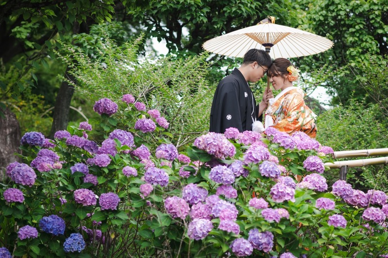 花田苑の紫陽花ショット✿