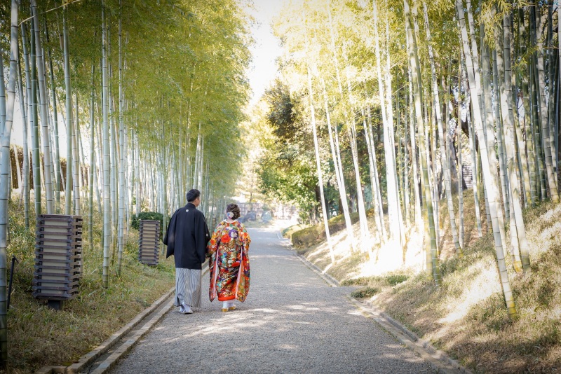 冬の花田苑