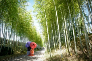【2月花田苑】お日にち限定割引プランのご案内♪