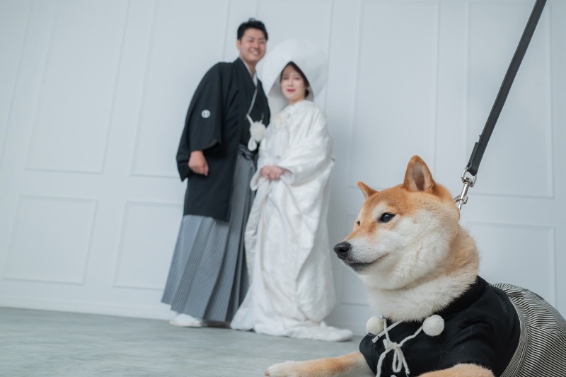 大切な家族と一緒に♡ワンちゃんとの前撮り撮影♪