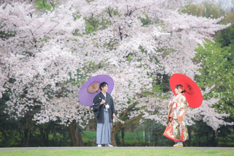 桜