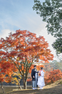 秋の奈良公園での撮影しませんか