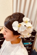 安定の胡蝶蘭(^^)