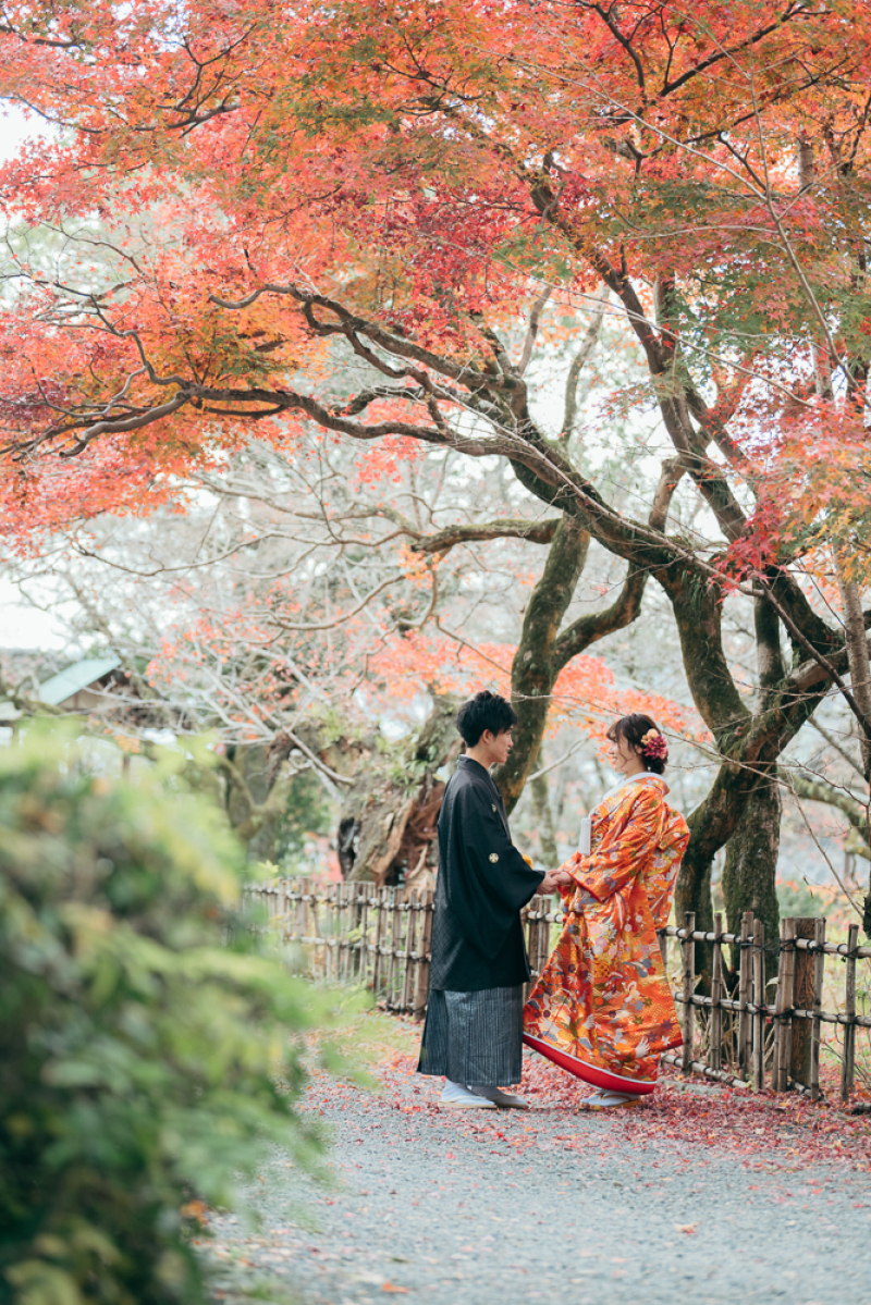 12月の京都で紅葉撮影