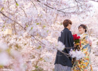 華のみが知っている桜穴場スポットで、人目を気にせず撮影しませんか!?