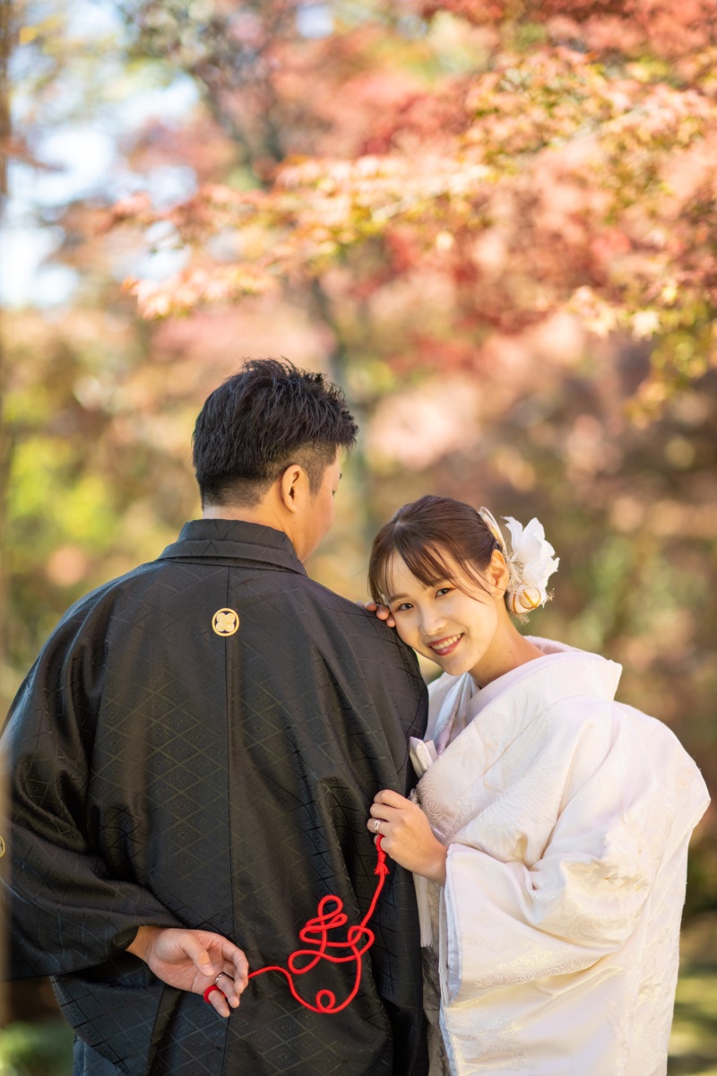 まだ間に合う! 紅葉穴場スポットでの撮影はいかがでしょうか?