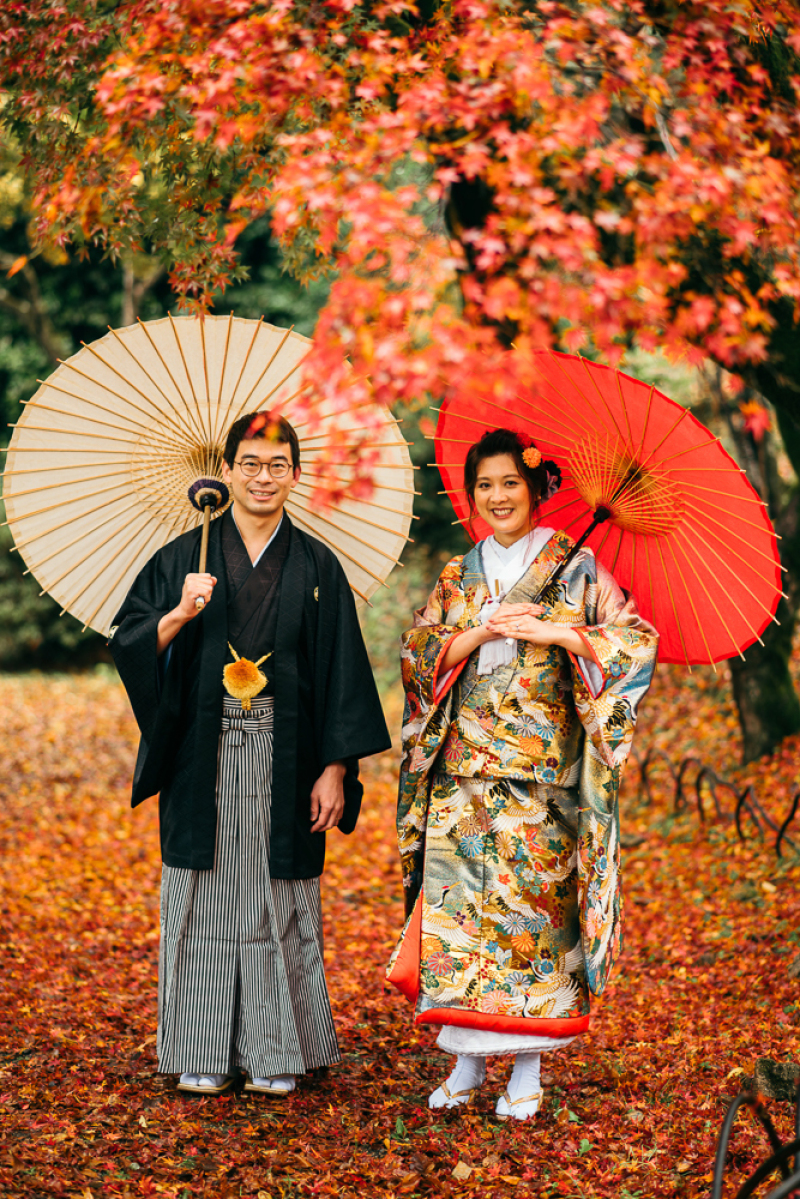紅葉の絨毯