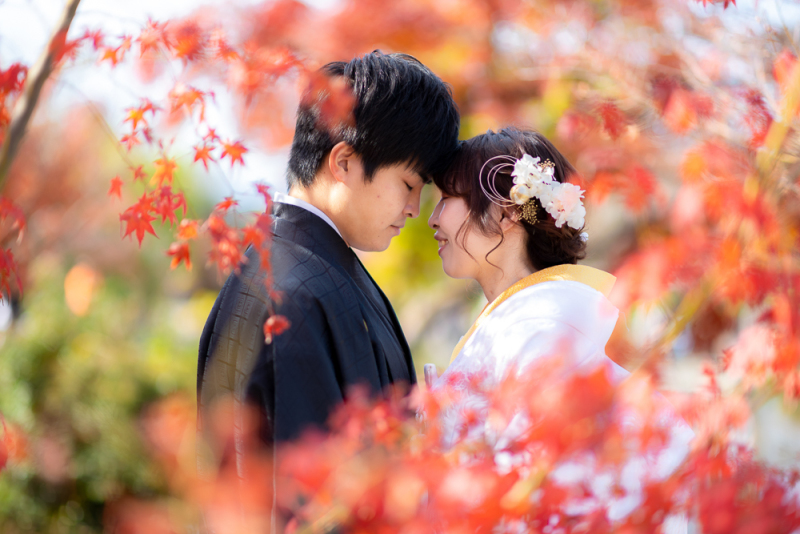 京都で紅葉と一緒に撮影