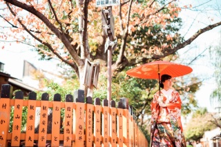 紅葉撮影のご予約始まっています☆