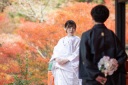 紅葉の素敵な寺院での撮影申込は残り僅か