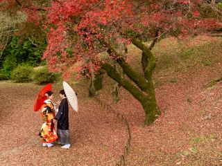 可愛い新郎新婦