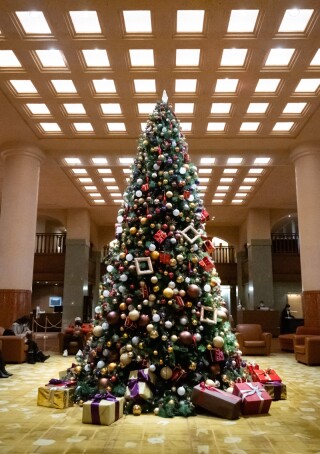 12月限定♬ クリスマスツリーでの撮影はいかがでしょうか?