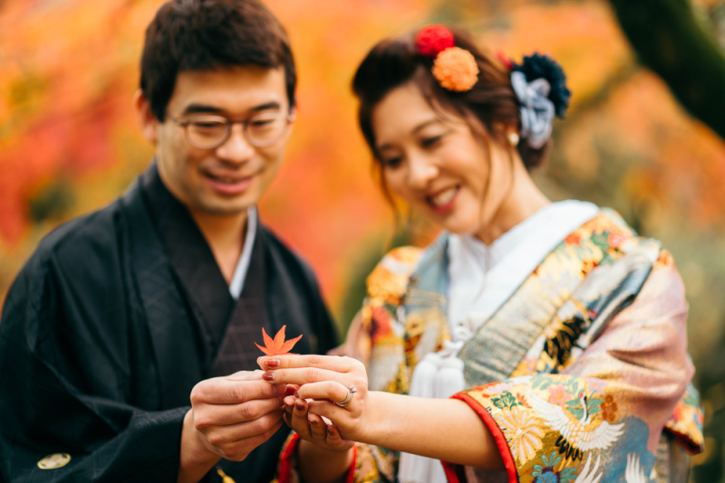 紅葉の絨毯