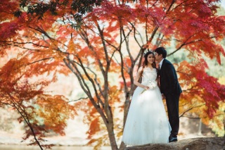 弊店のみの他の人がいない紅葉穴場スポットで、撮影はいかがでしょうか?