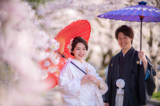 桜穴場スポットでの撮影、桜名所の寺院での撮影、まだ空きがございます♫