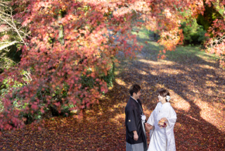 紅葉のひみつ基地