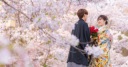 京都へお越しの際には是非！　当日の飛び込みでも婚礼撮影を承っております♫