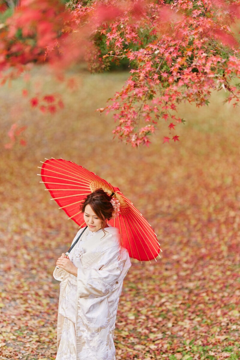 紅葉の絨毯でも撮影できる穴場スポットで撮影!予約受付中