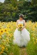 ひまわり畑での撮影がお勧め♫