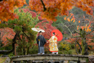 黄色の色打掛と紅葉の相性はいいですね!