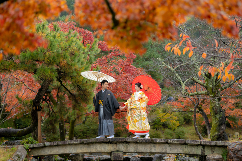 黄色の色打掛と紅葉の相性はいいですね!