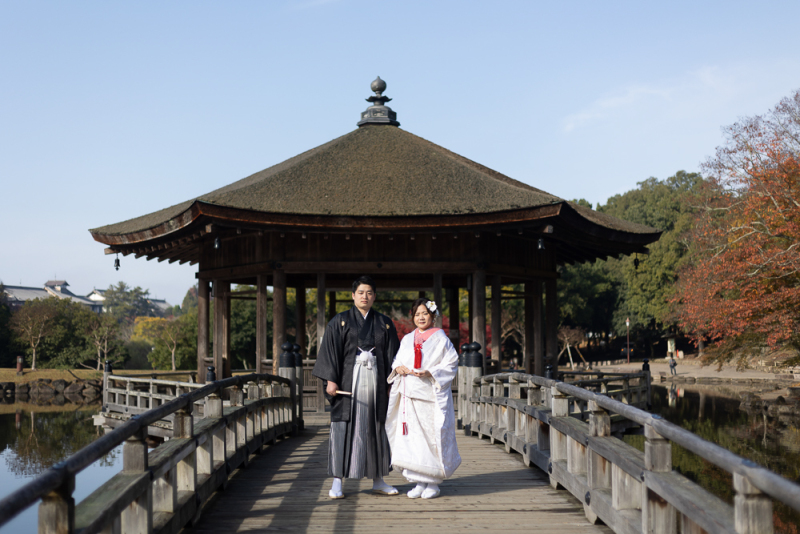 秋の奈良公園での撮影しませんか