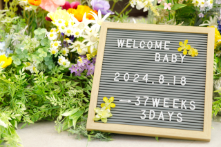 《　マタニティフォトプラン　》