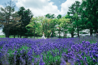 【期間限定プラン】ラベンダーフォトプラン